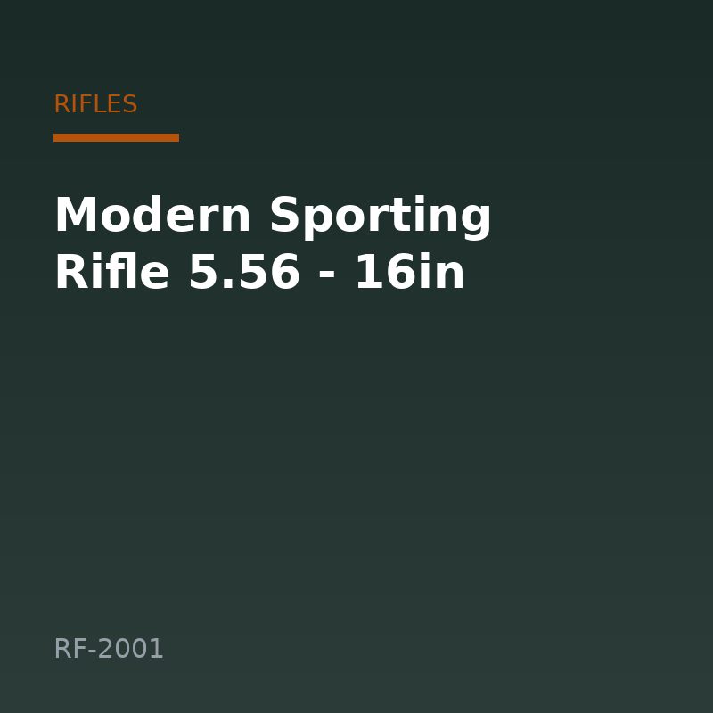 Modern Sporting Rifle 5.56 - 16in