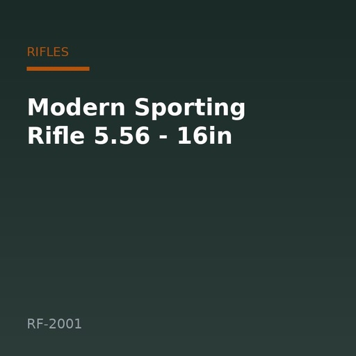 [RF-2001] Modern Sporting Rifle 5.56 - 16in